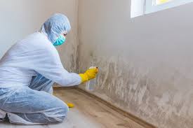 Best Mold Remediation for Healthcare Facilities  in Geneva, IL