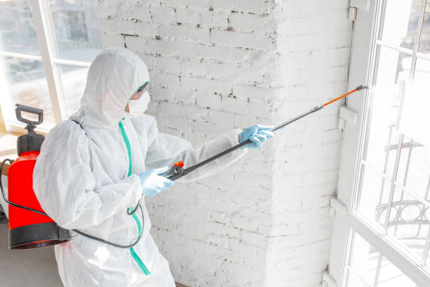 Best Emergency Mold Remediation  in Geneva, IL