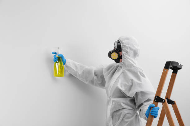 Best Industrial Mold Remediation  in Geneva, IL